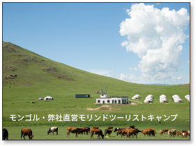 �����S���E���В��c�A�������h�c�[���X�g�L�����v